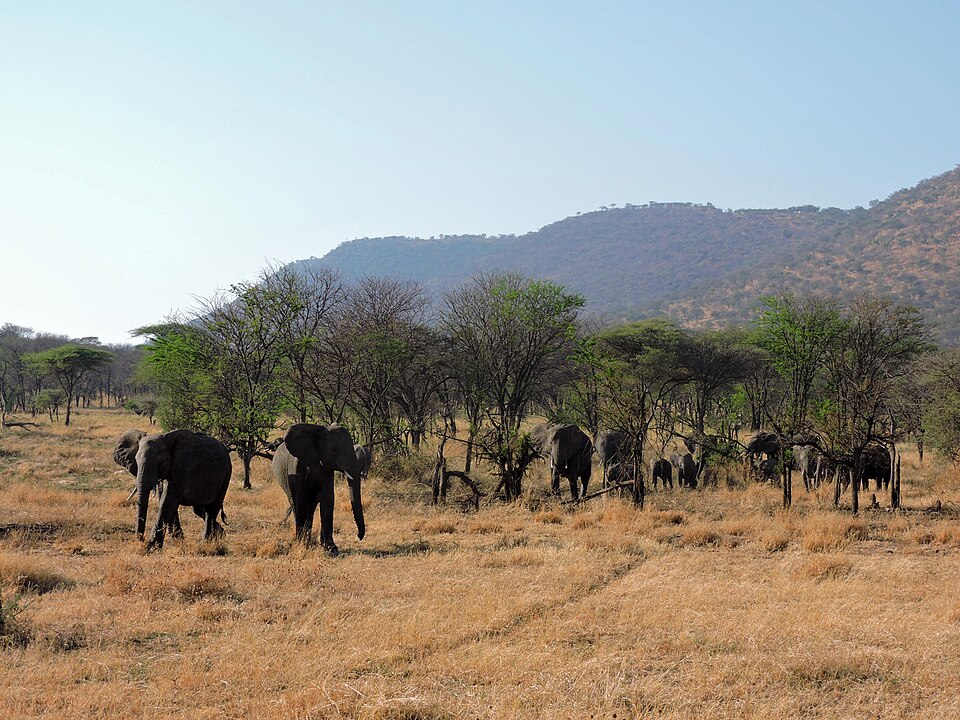 Tanzania destination